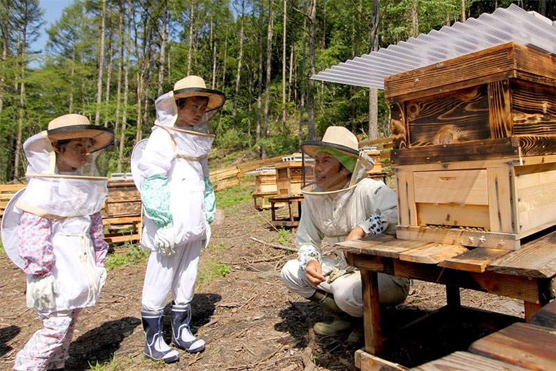 森の中の養蜂場